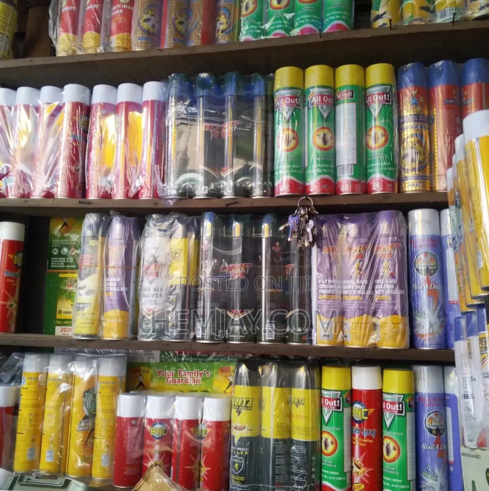 Insect and Reptile Killer Spray (Available Only in Liquid Spray/Flit)
