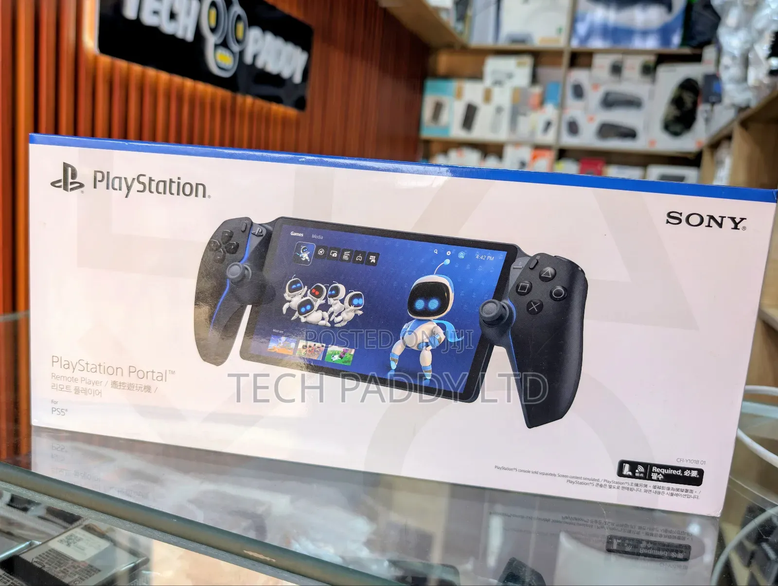 Sony Playstation Portal Remote Player