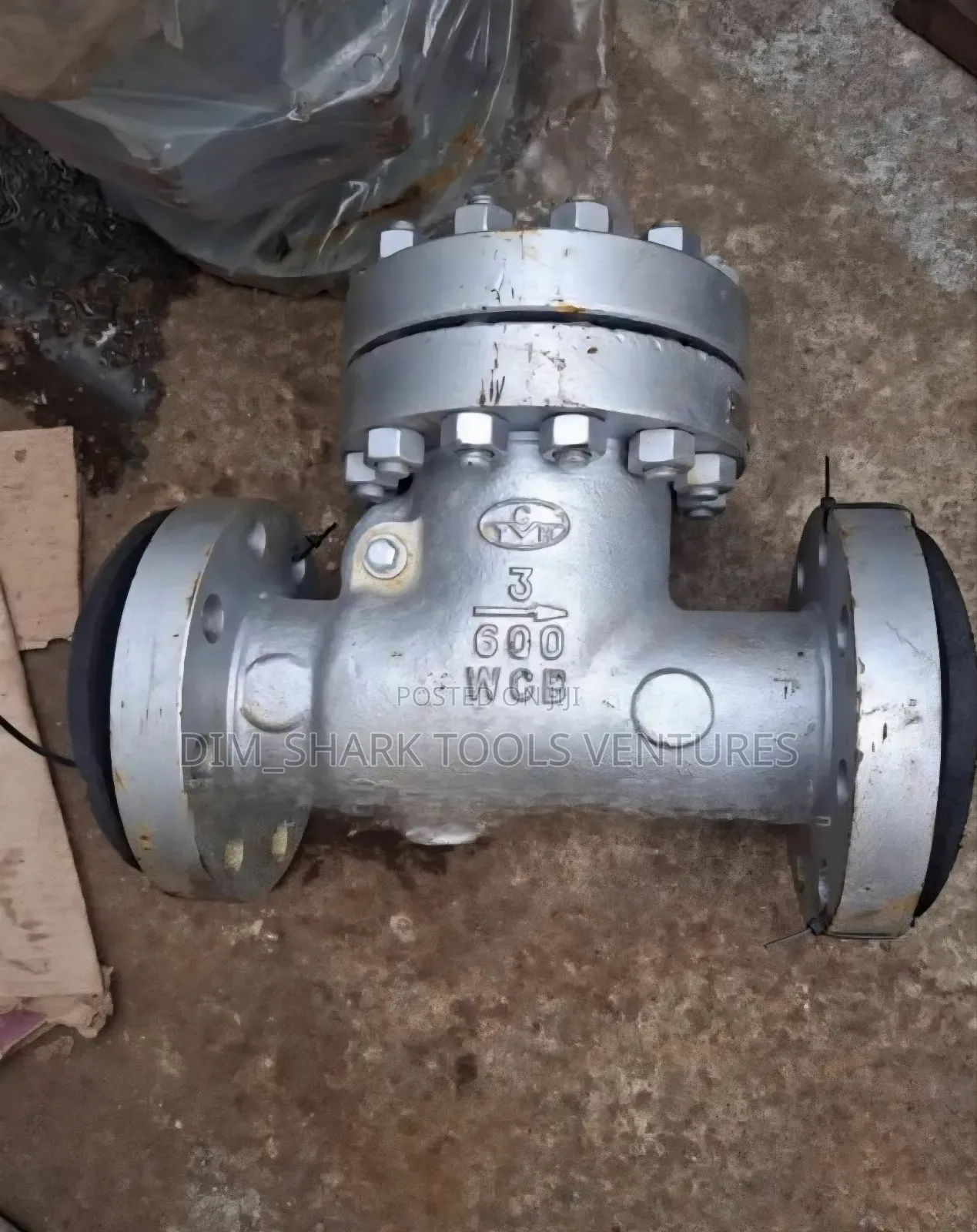 3-Inch Class#600 Asme B16.34 WCB Cast Steel Swing Check Valve