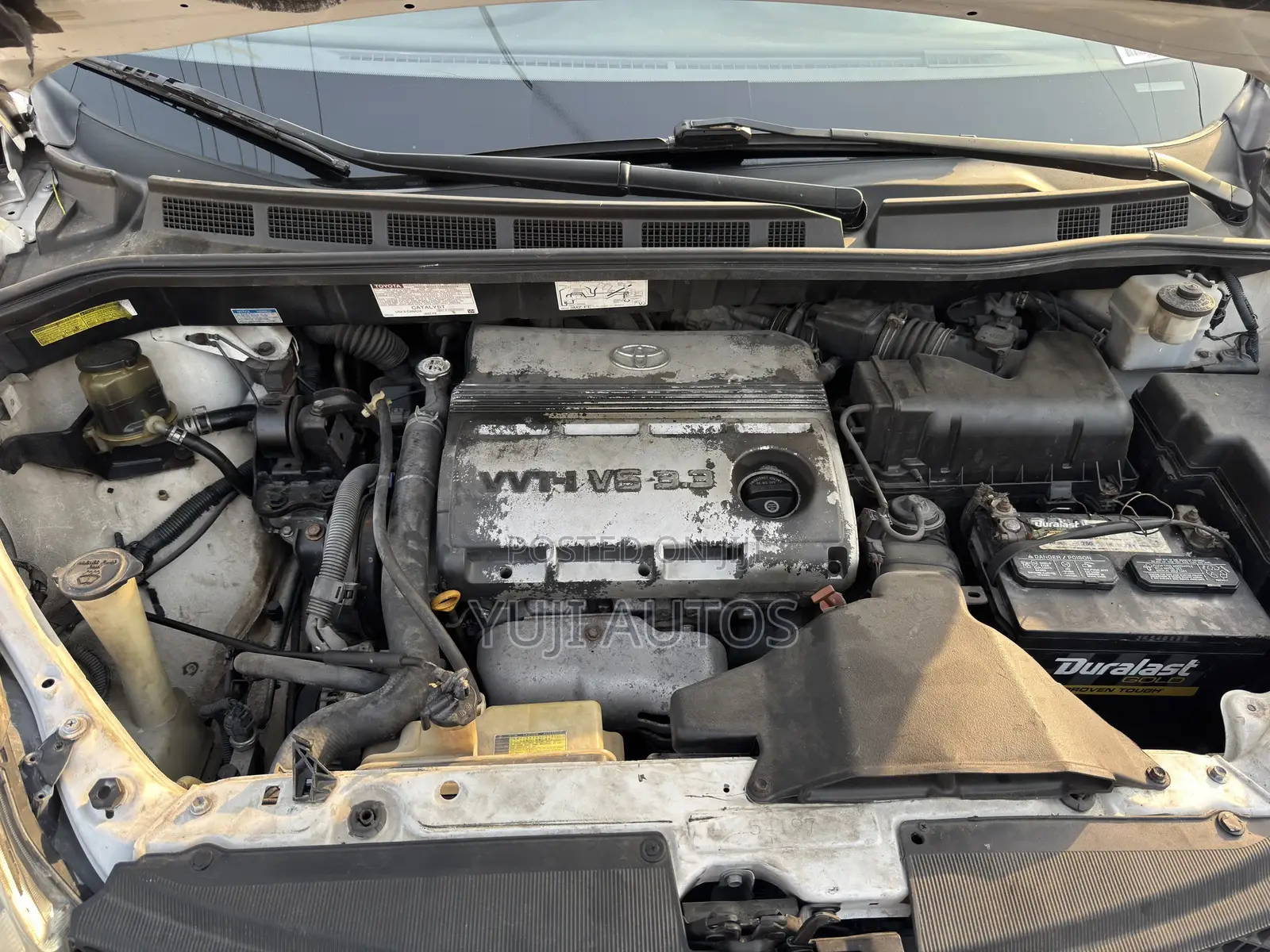 Toyota Sienna 2004 White