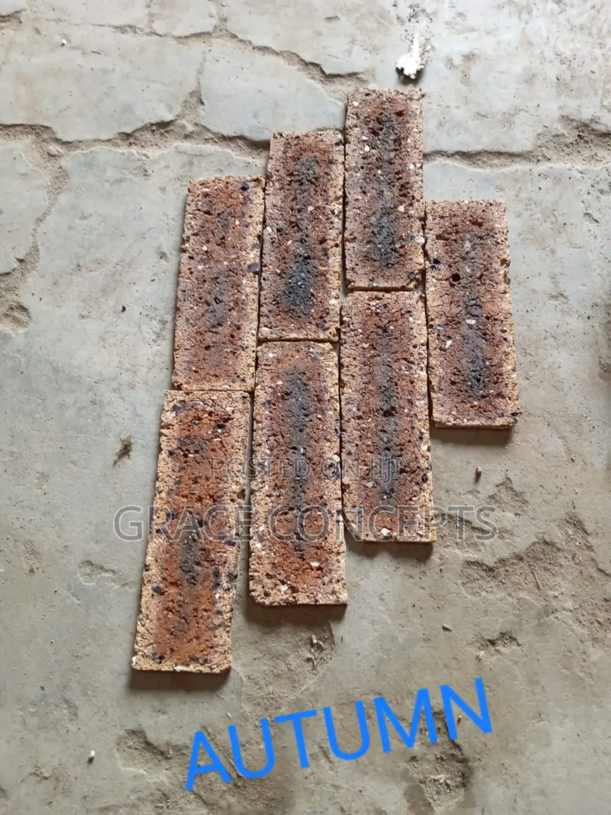 South African Bricks