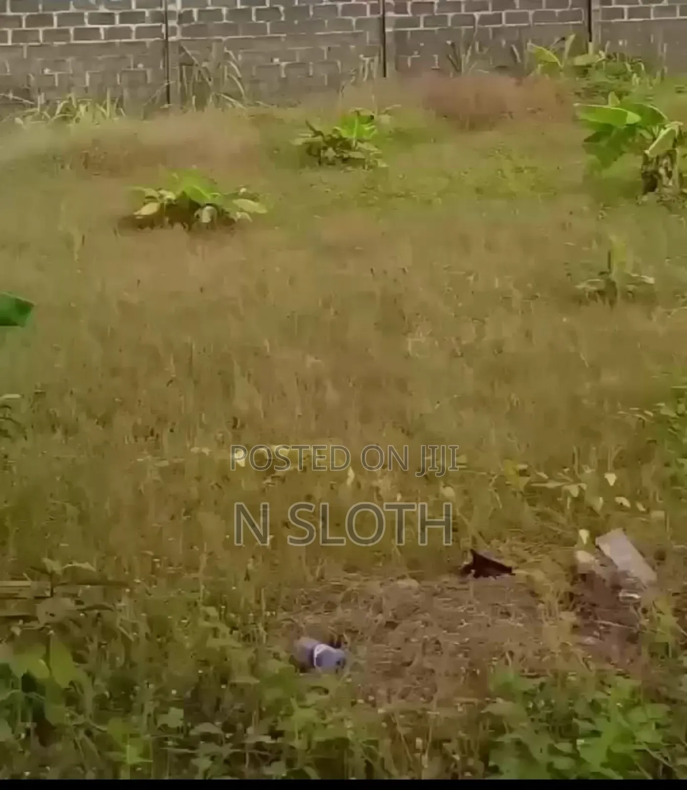 Land for Sale (60 Plots)