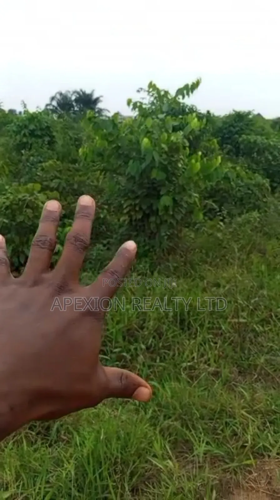 Land for Sale