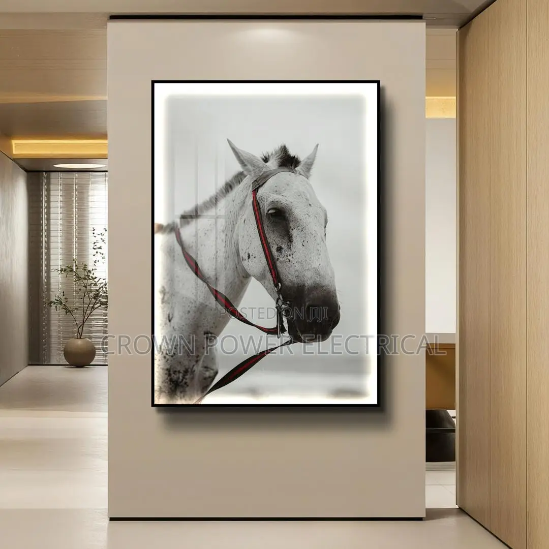 Beautiful Luxury Wall Frame With Light