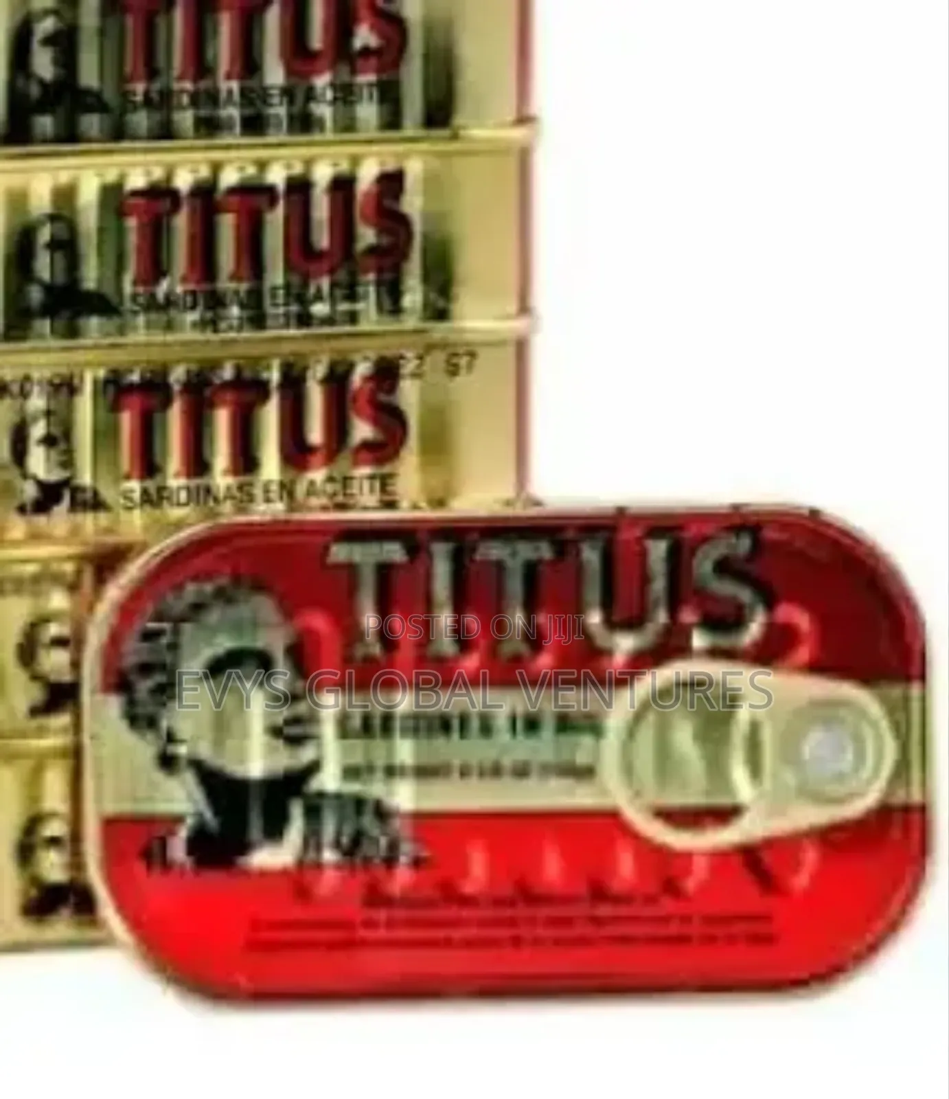 Titus Sardine in Vegetable Oil - 125g - A Carton of 50 PCS