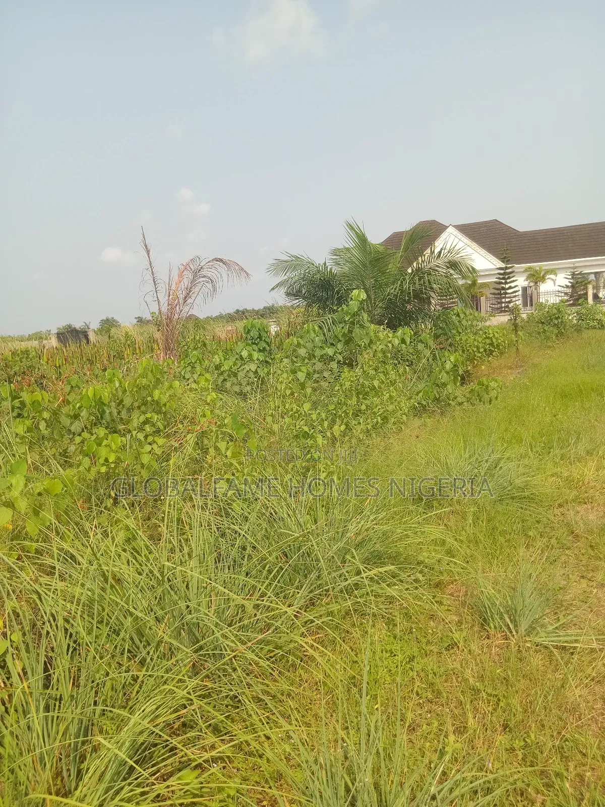 Land for Sale