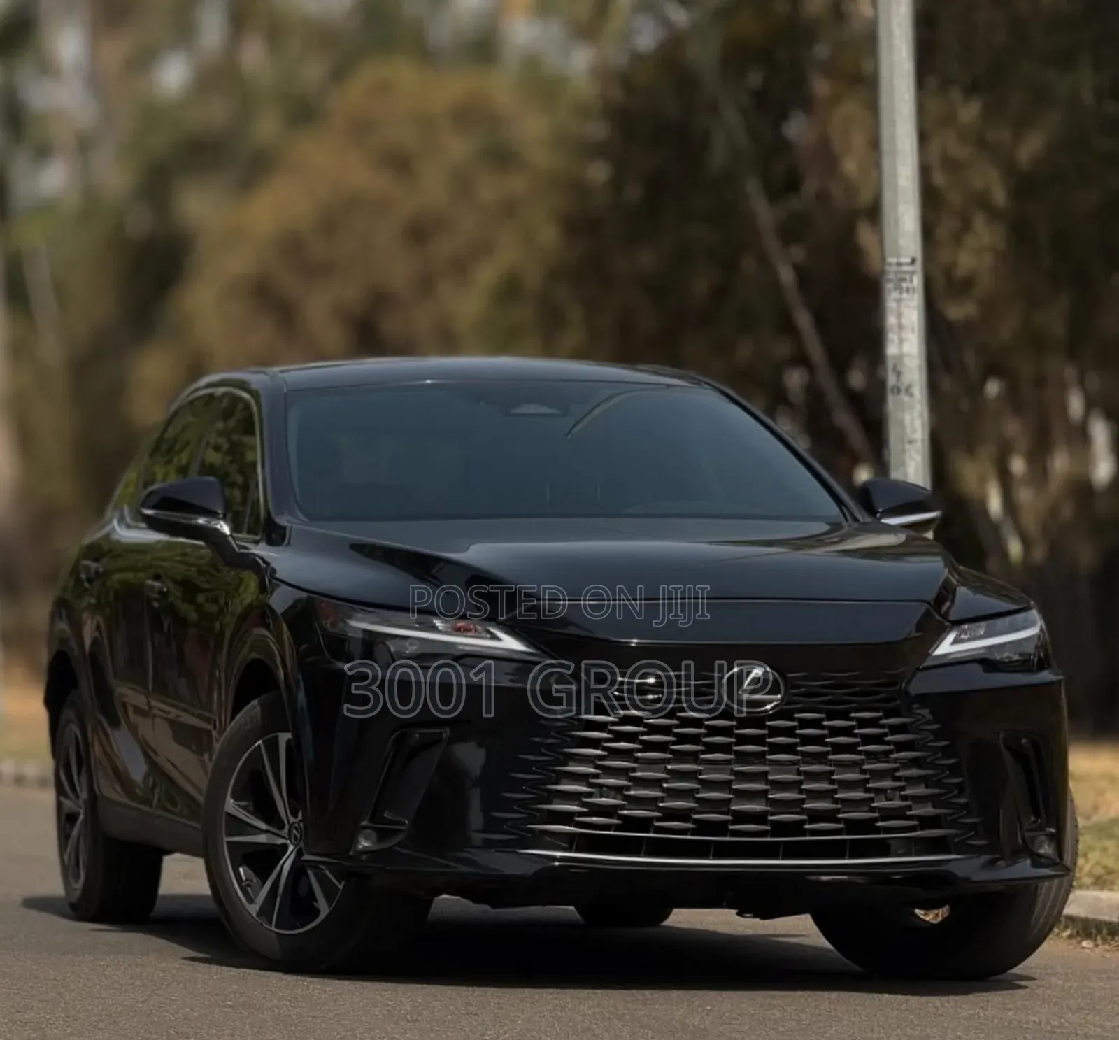 Lexus RX 2024 Black