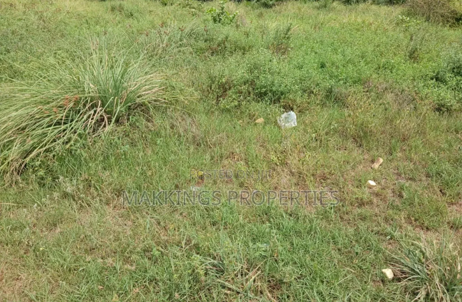 Dry Land for Sale in Ikate Lekki Lagos