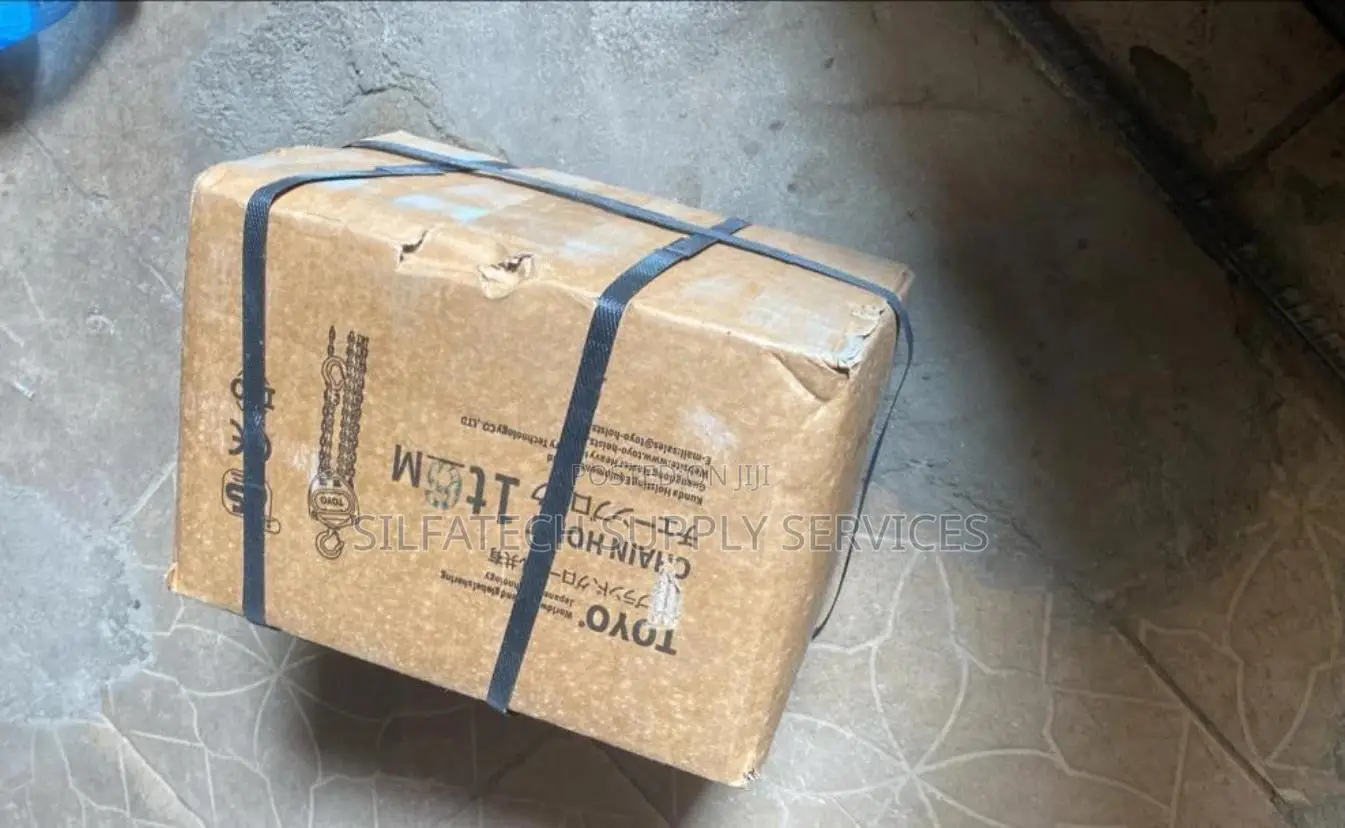 Original 1t X 6m Toyo Chainblock