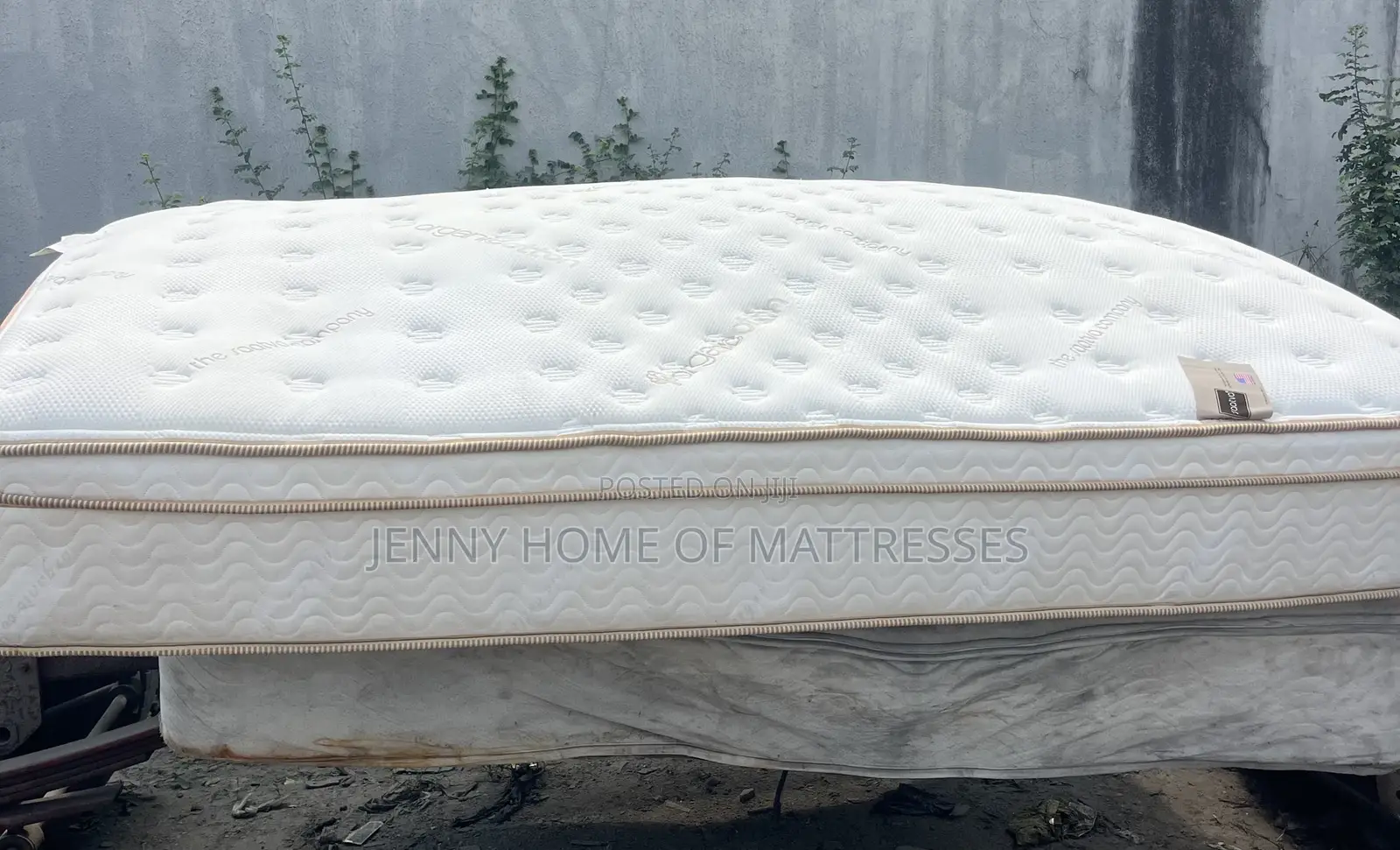 6x6 12 Inches Foreign Canadian Posturepedic Mattress