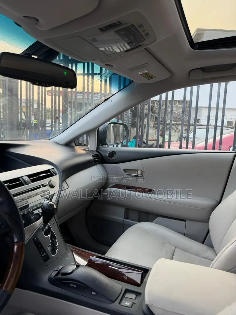 Lexus RX 350 2010 Gray