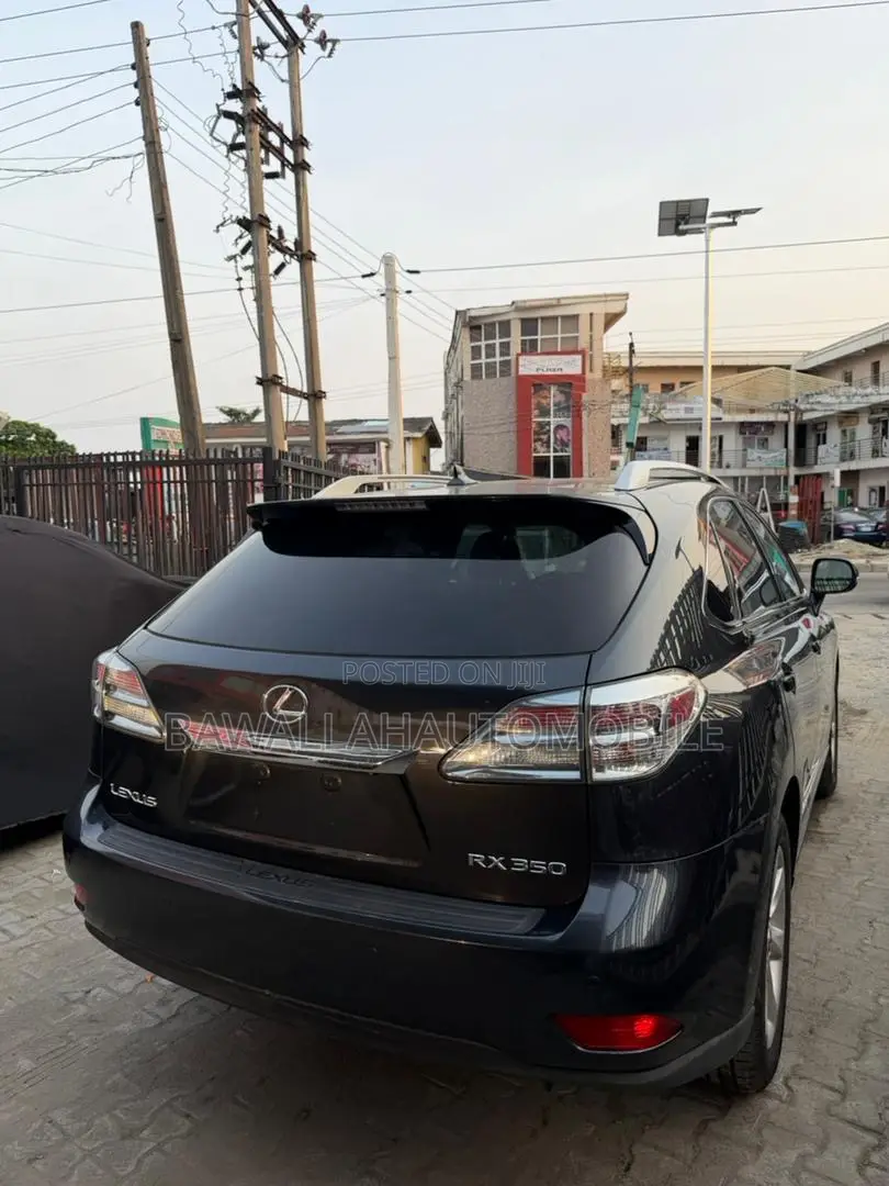 Lexus RX 350 2010 Gray