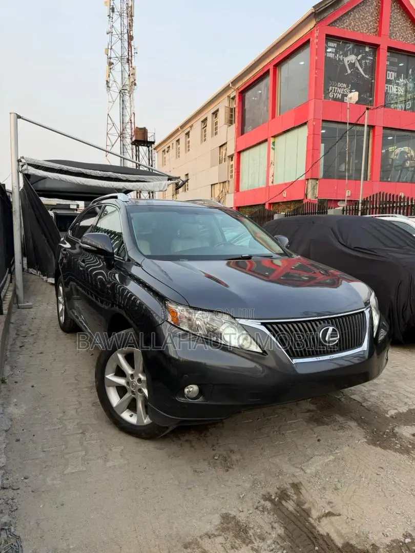 Lexus RX 350 2010 Gray