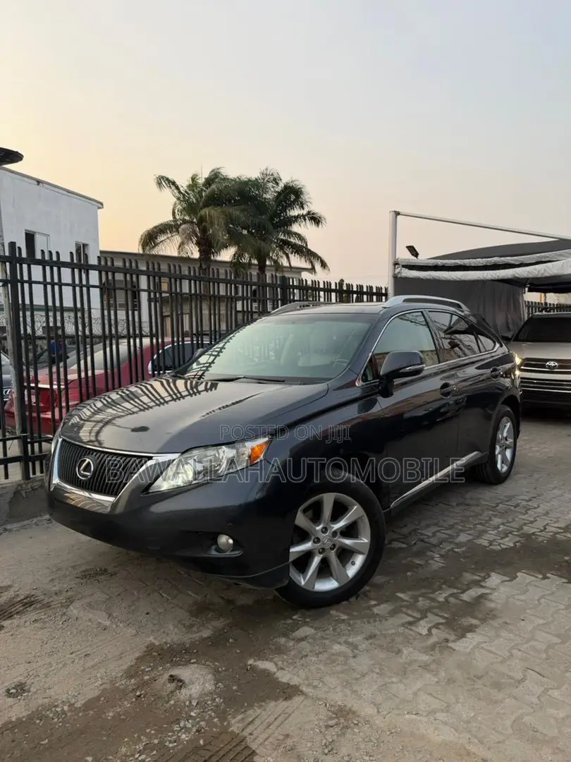 Lexus RX 350 2010 Gray