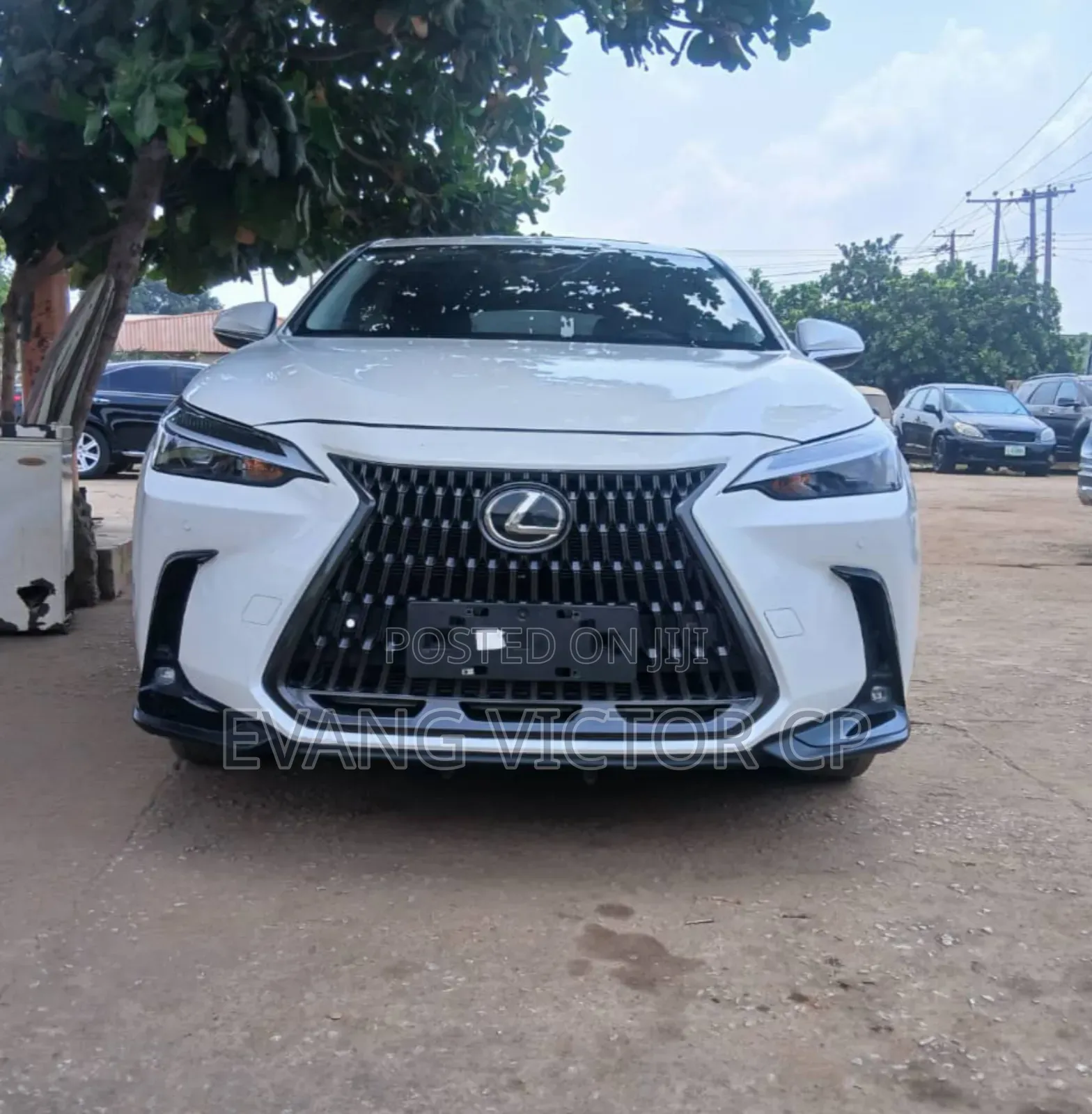 Lexus NX 250 2023 White