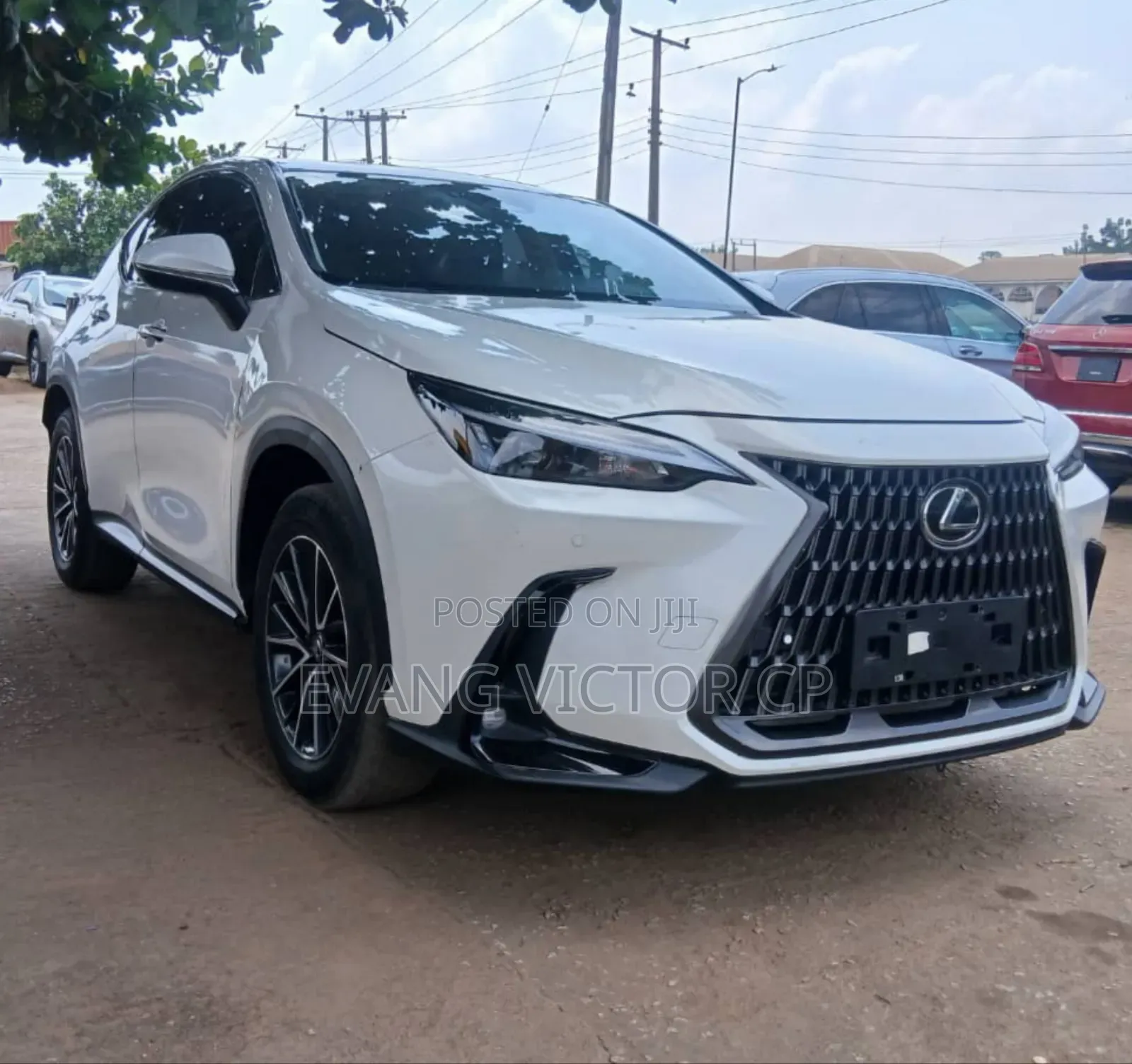 Lexus NX 250 2023 White