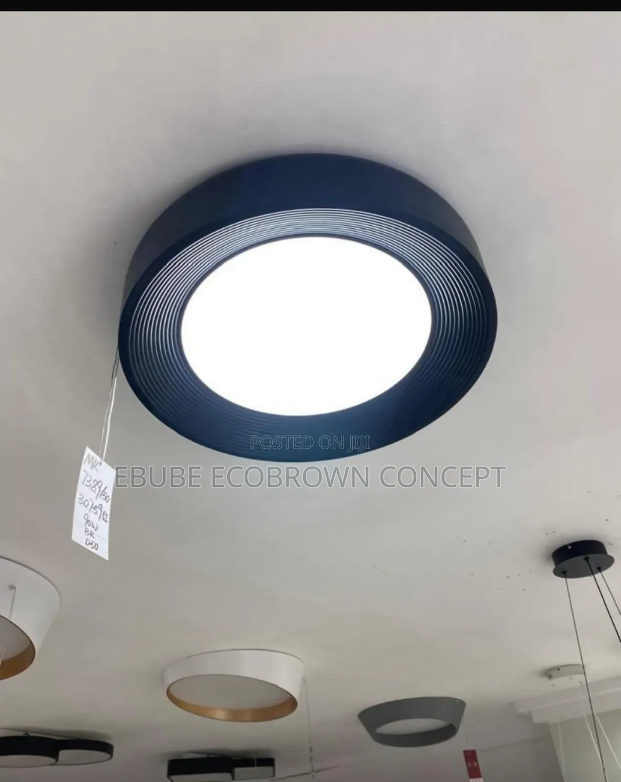 Latest Modern Ceiling Flush Light Available
