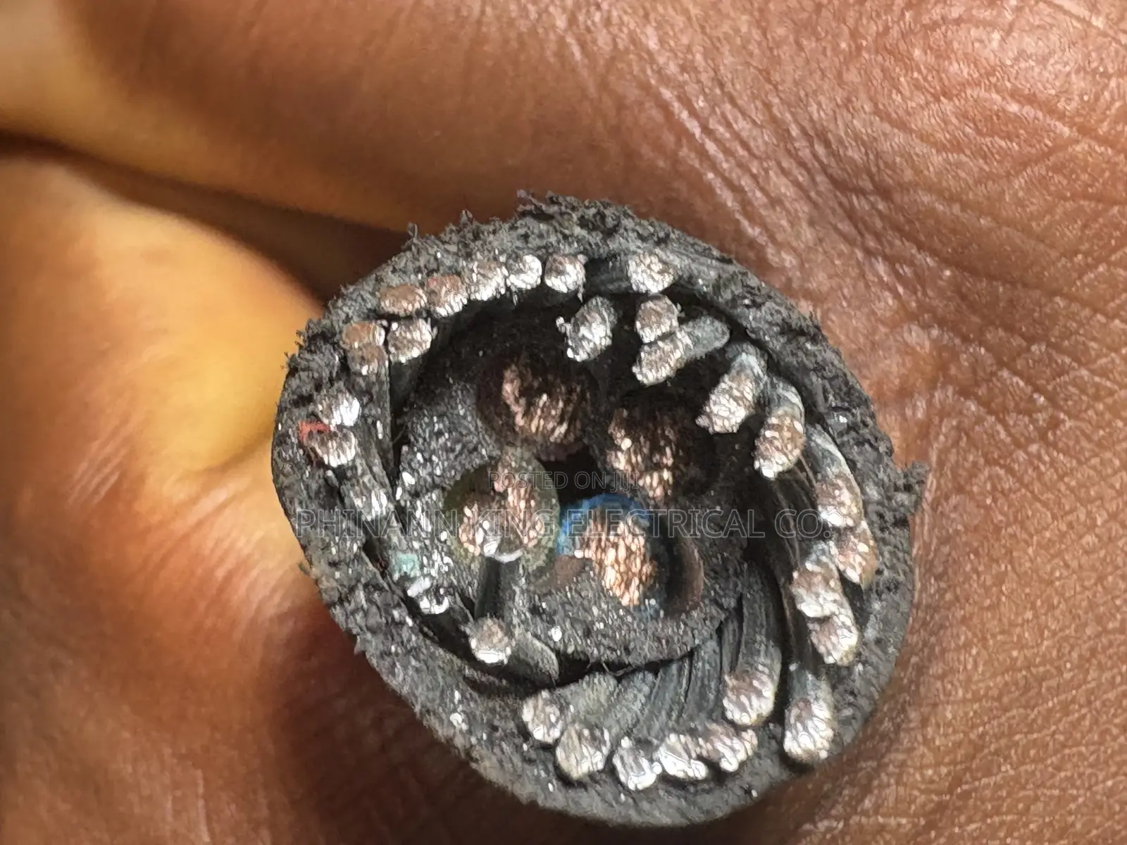 Coleman 6mm 4core Pure Copper