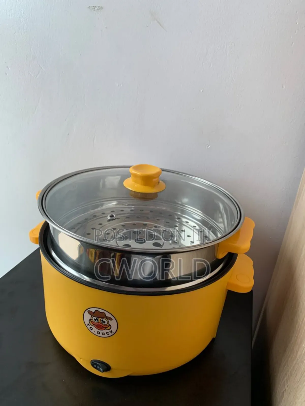 Electric Pot