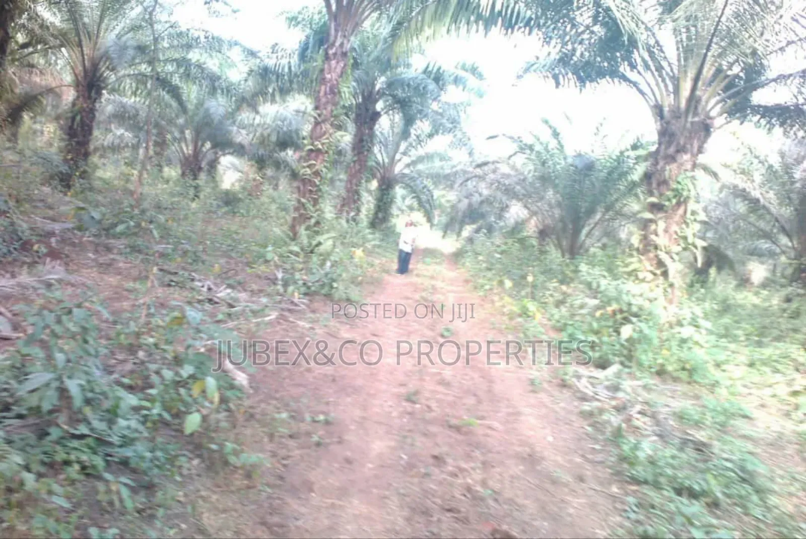 Hectares of Land at Kuchi Yako Ext Abuja
