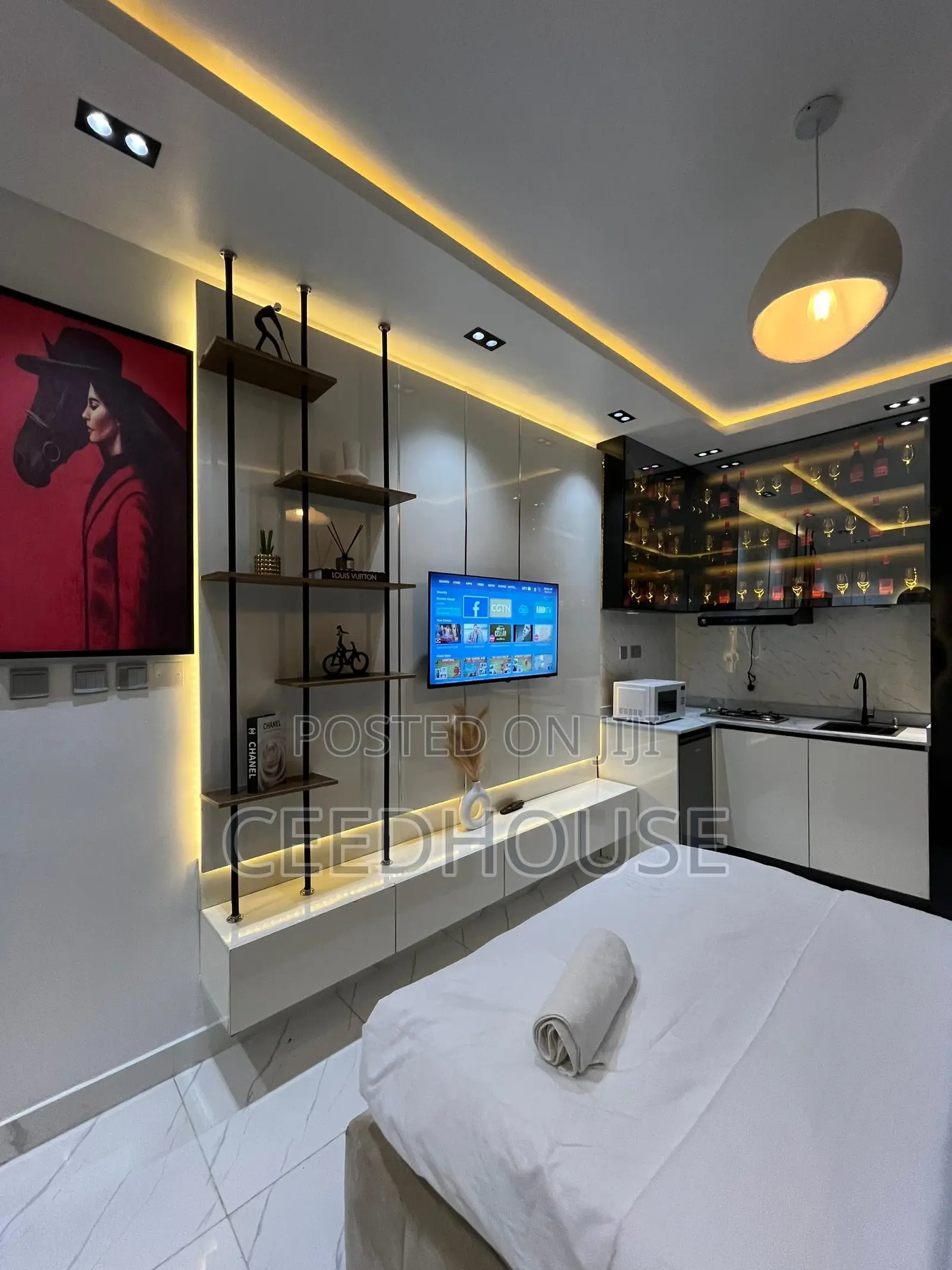 Luxurious Studio Apartment