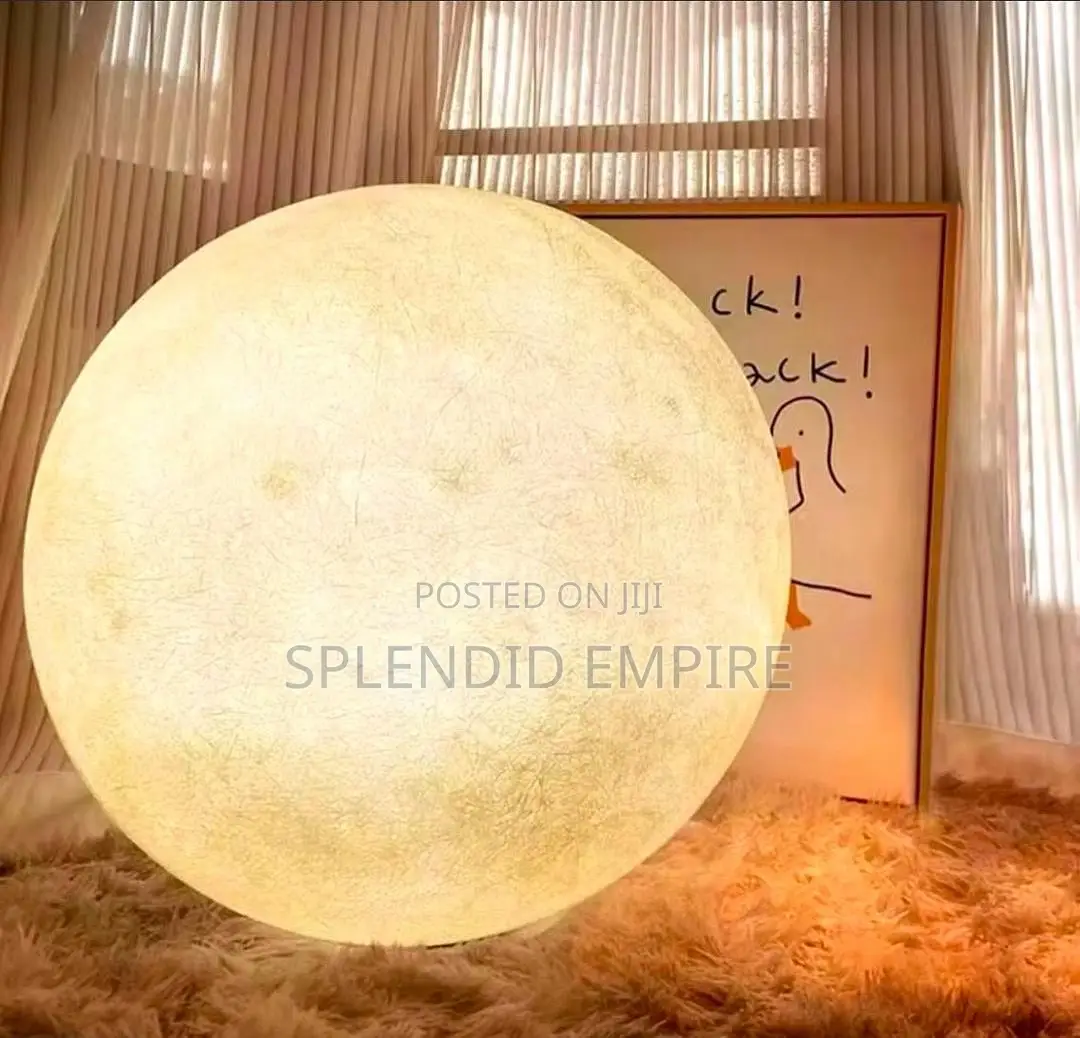 Circle Floor Lamp