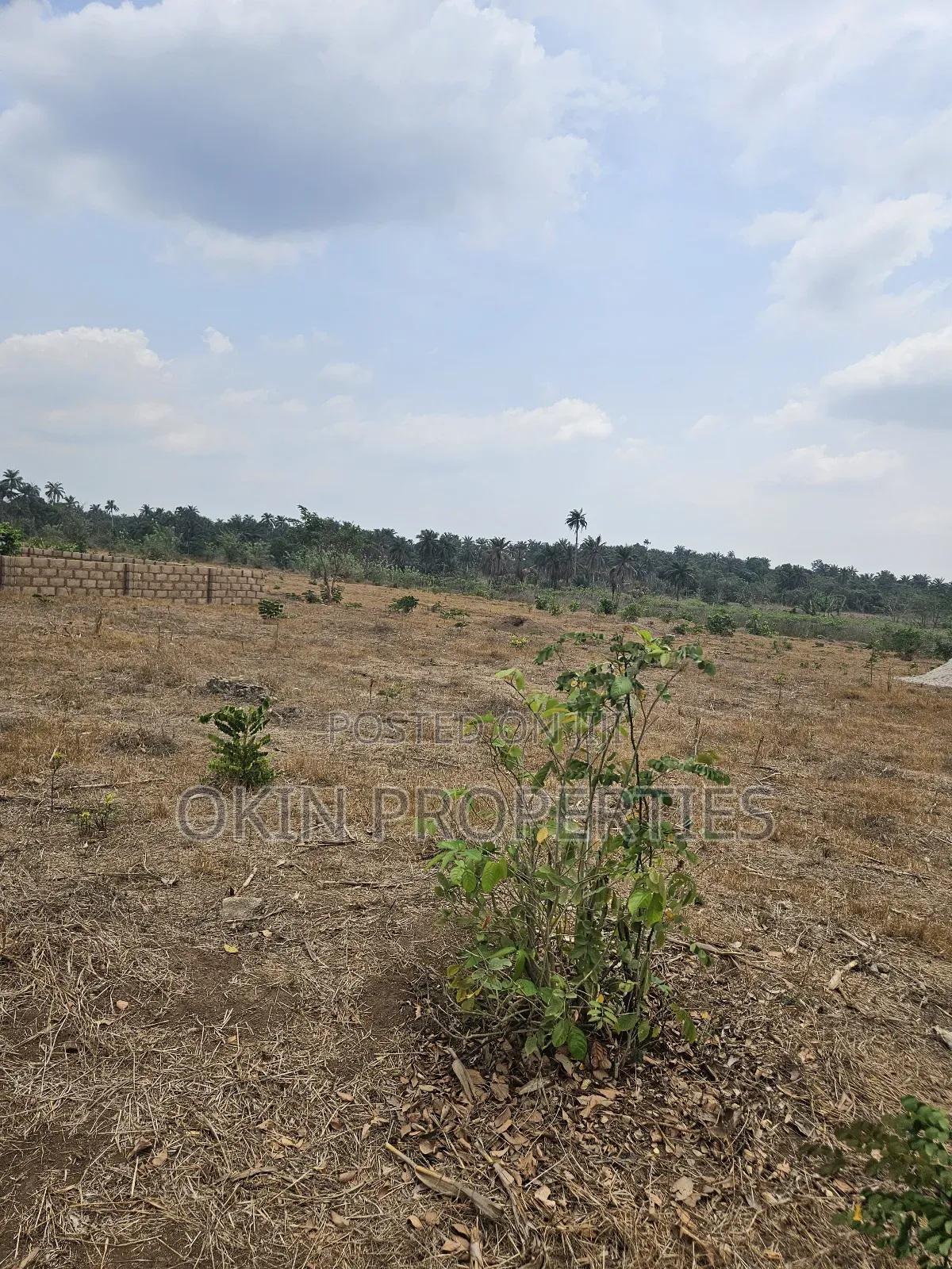 Plot of Residential House