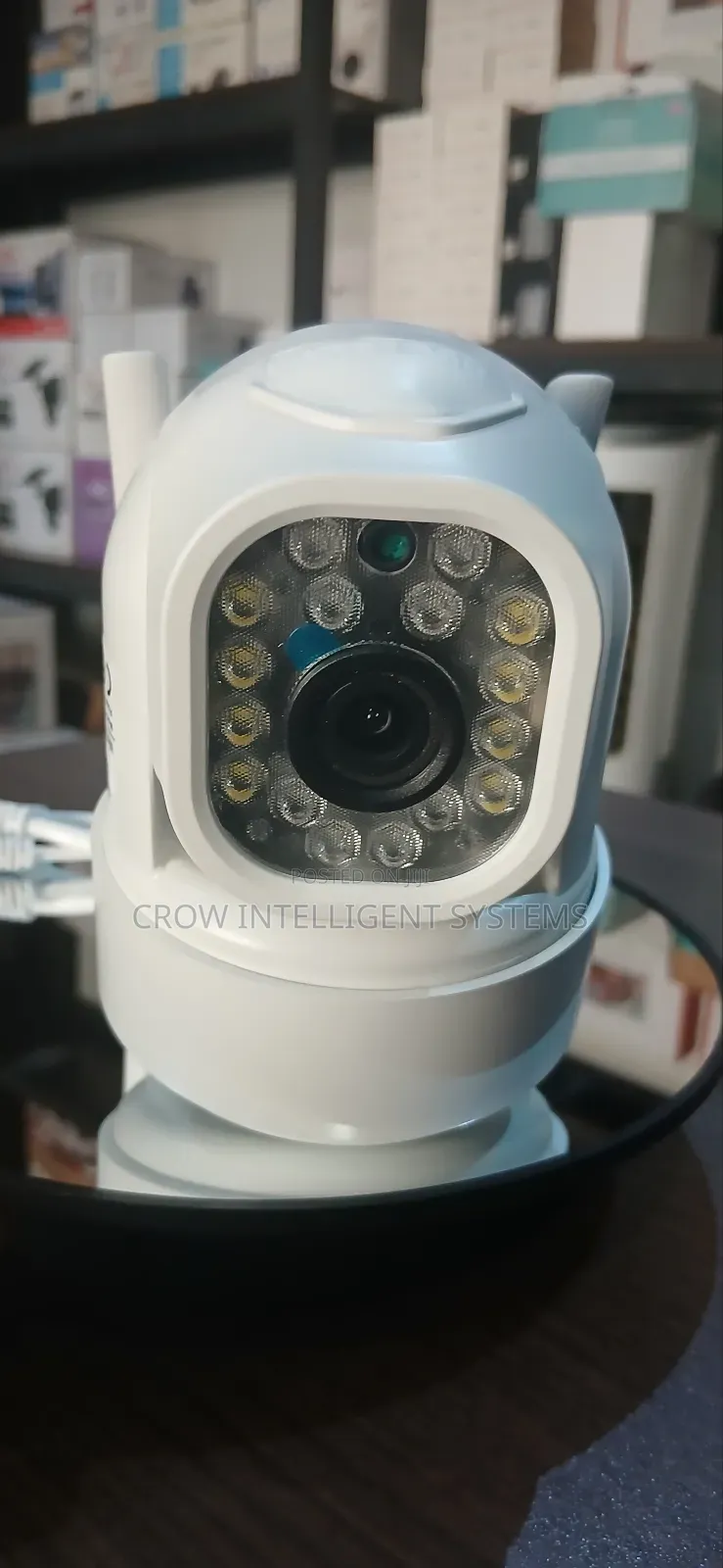 Tuya Smart Living Outdoor Camera