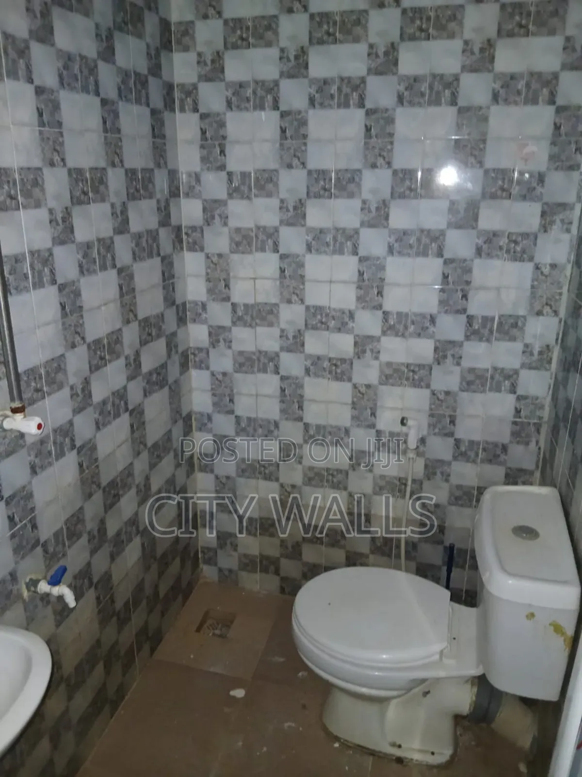Mini Flat in Badore for rent