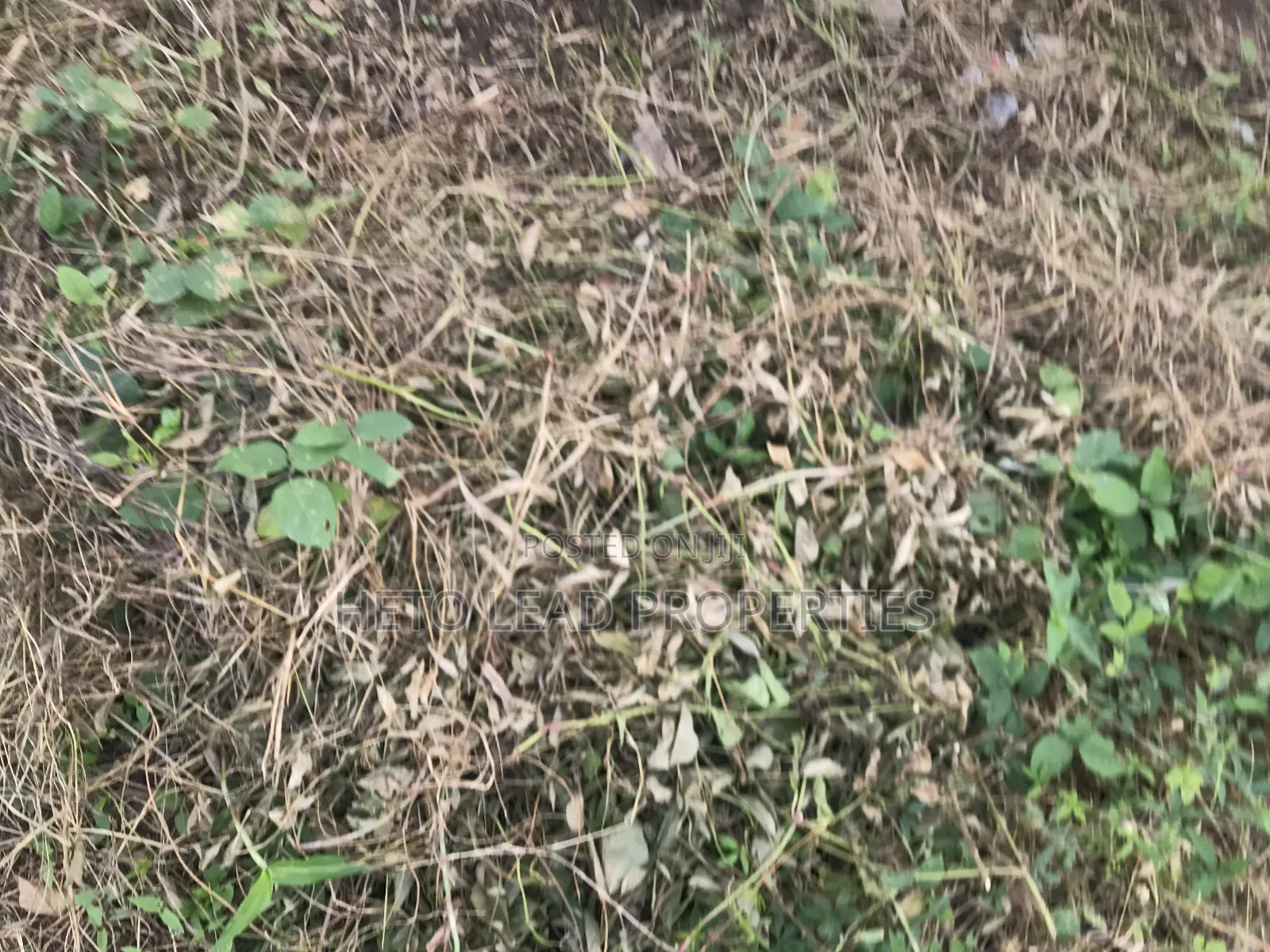 A Plot of Land at Ido Ibadan