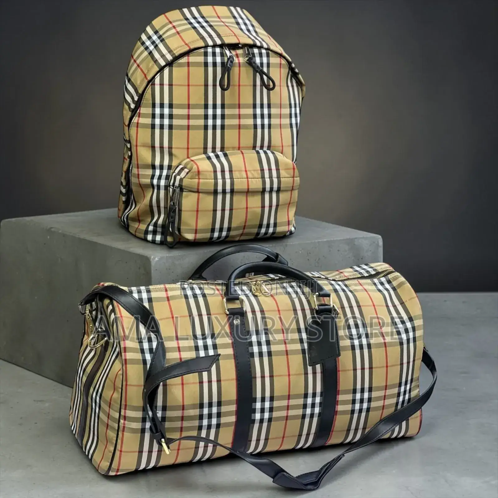 Burberry/Christian Dior Luxury Bag Pack/Duffle Bags Set