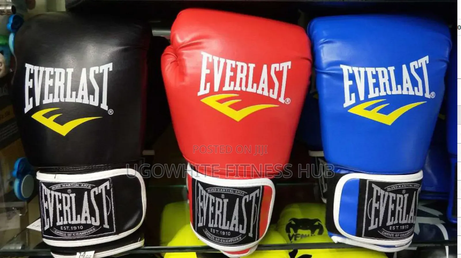 Everlast Boxing Gloves,