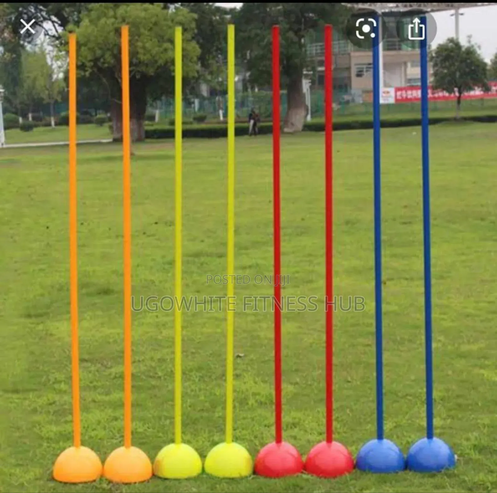 Agility Training Poles