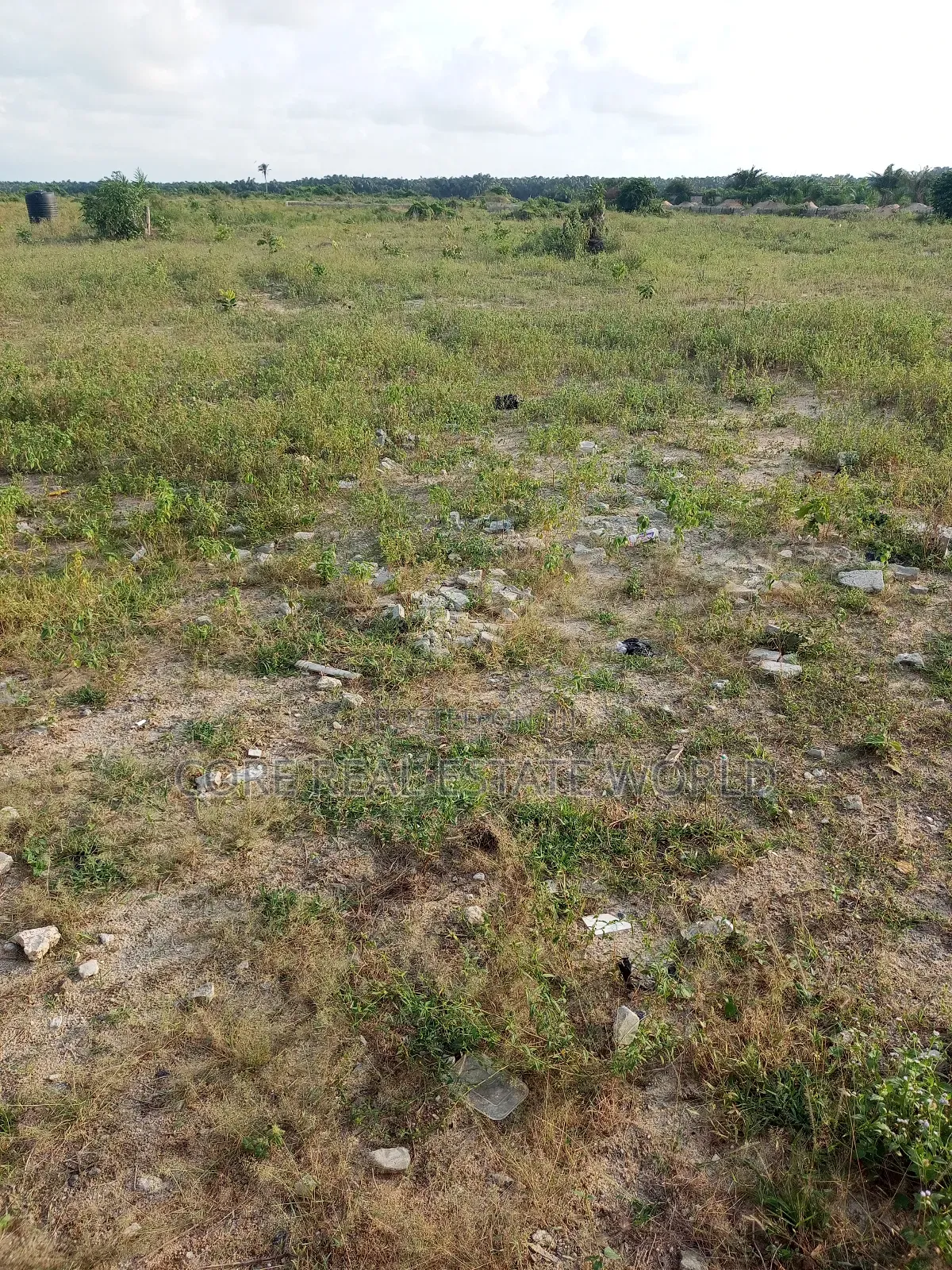 Imo State Genuine Land, No Story