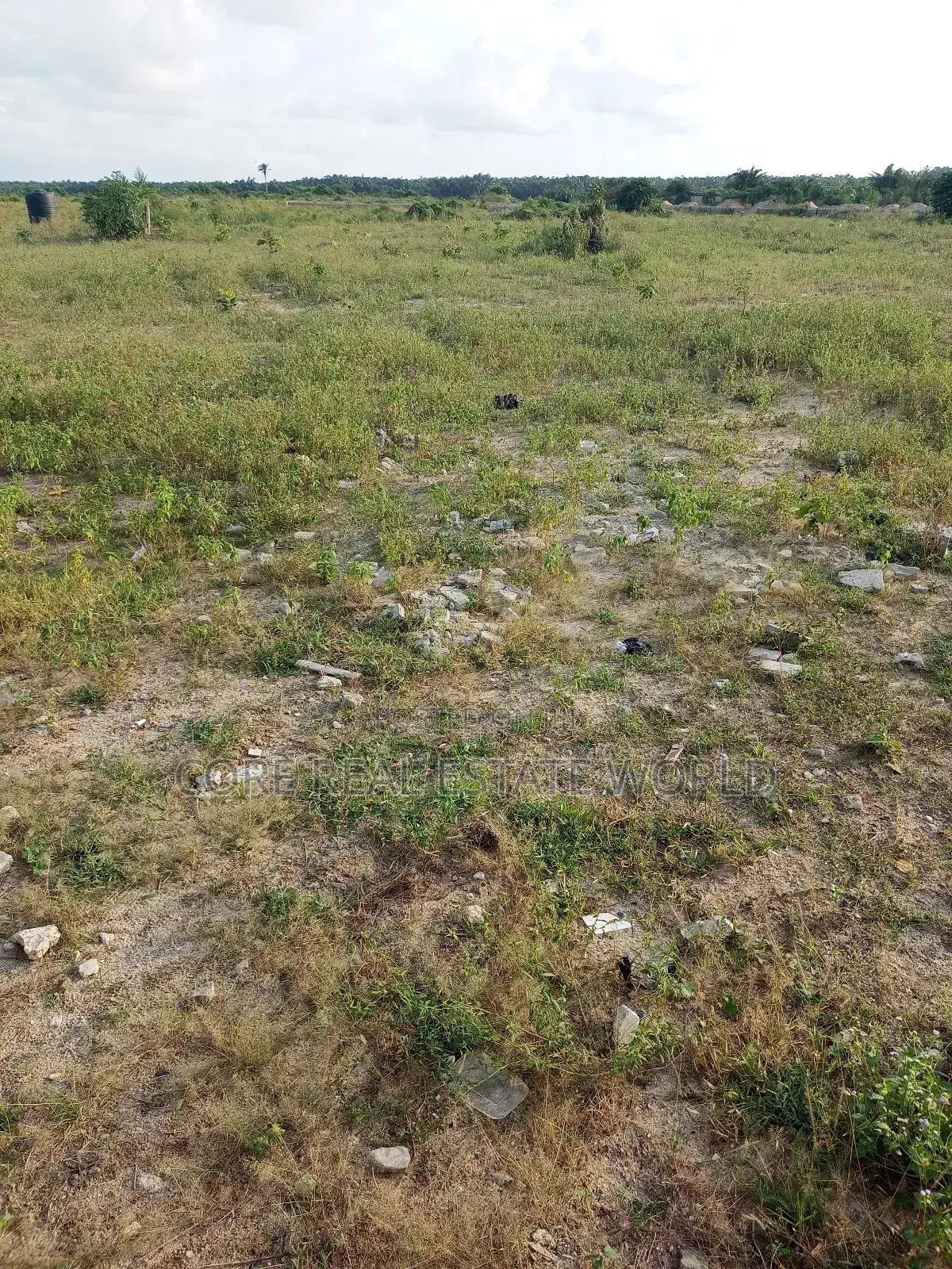 Imo State Genuine Land, No Story