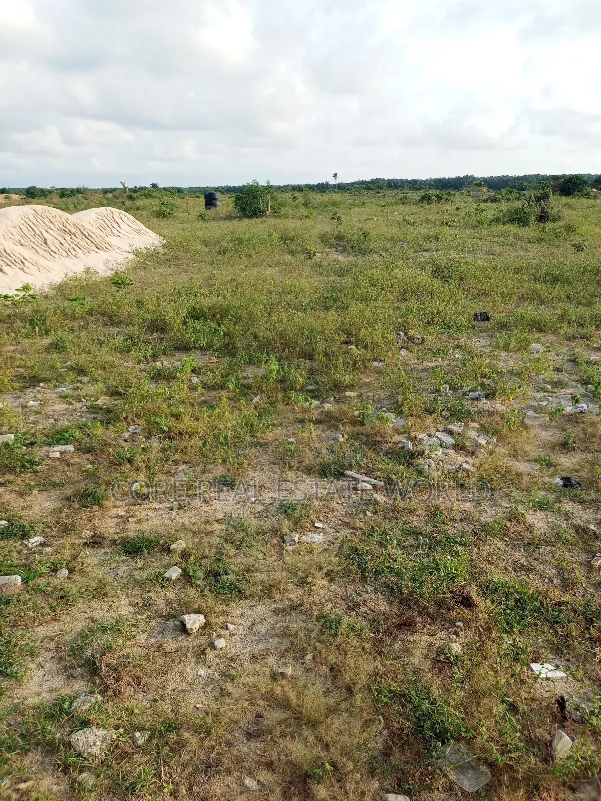 Imo State Genuine Land, No Story