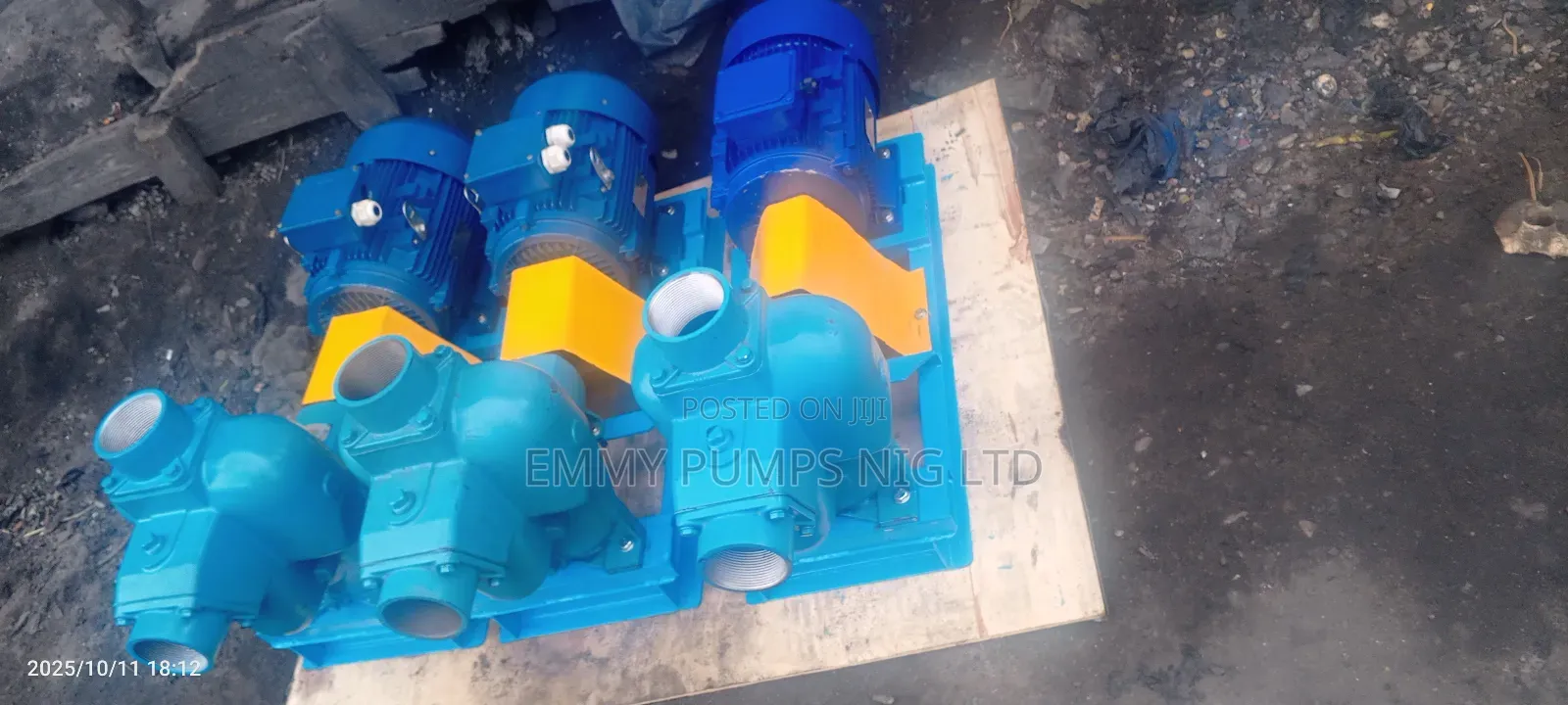 Johnson Self Priming Pump