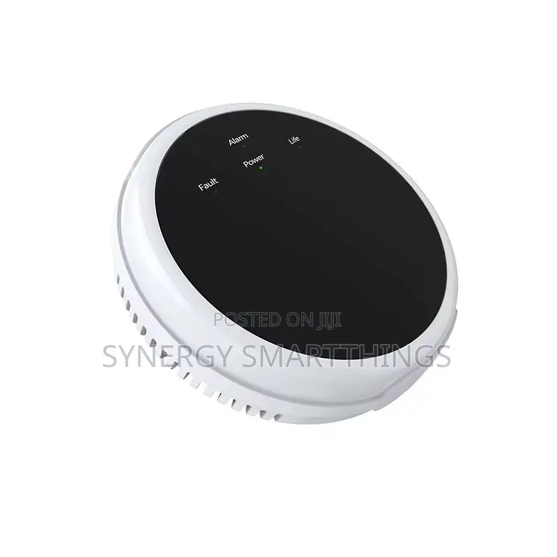Rf Portable Gas Leakage Detector Connected To The Host Alarm System