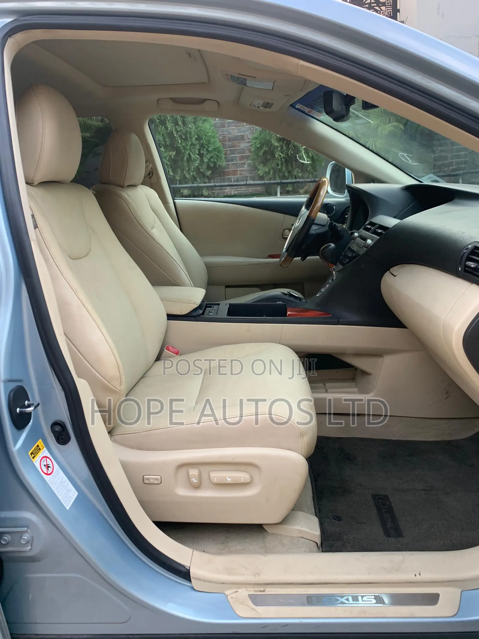 Lexus RX 350 2010 Blue