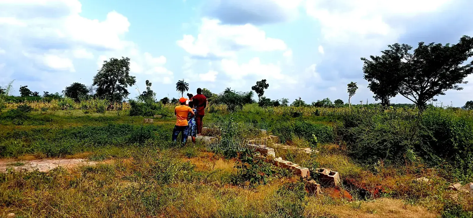 ₦3.5m 464sqm Land for Sale in Issele-Mkpetime • Greenland Phase 3