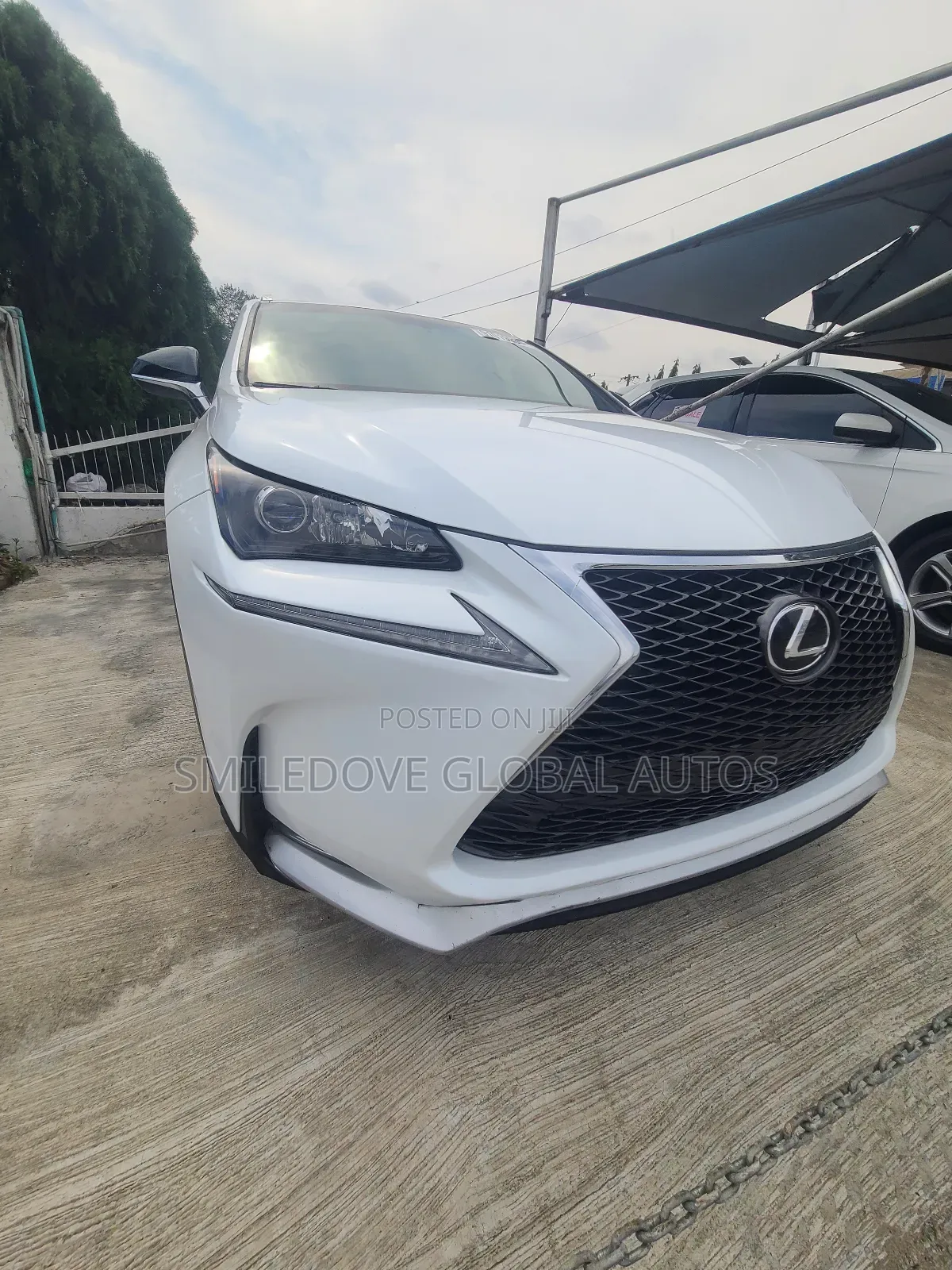 Lexus NX 2017 White