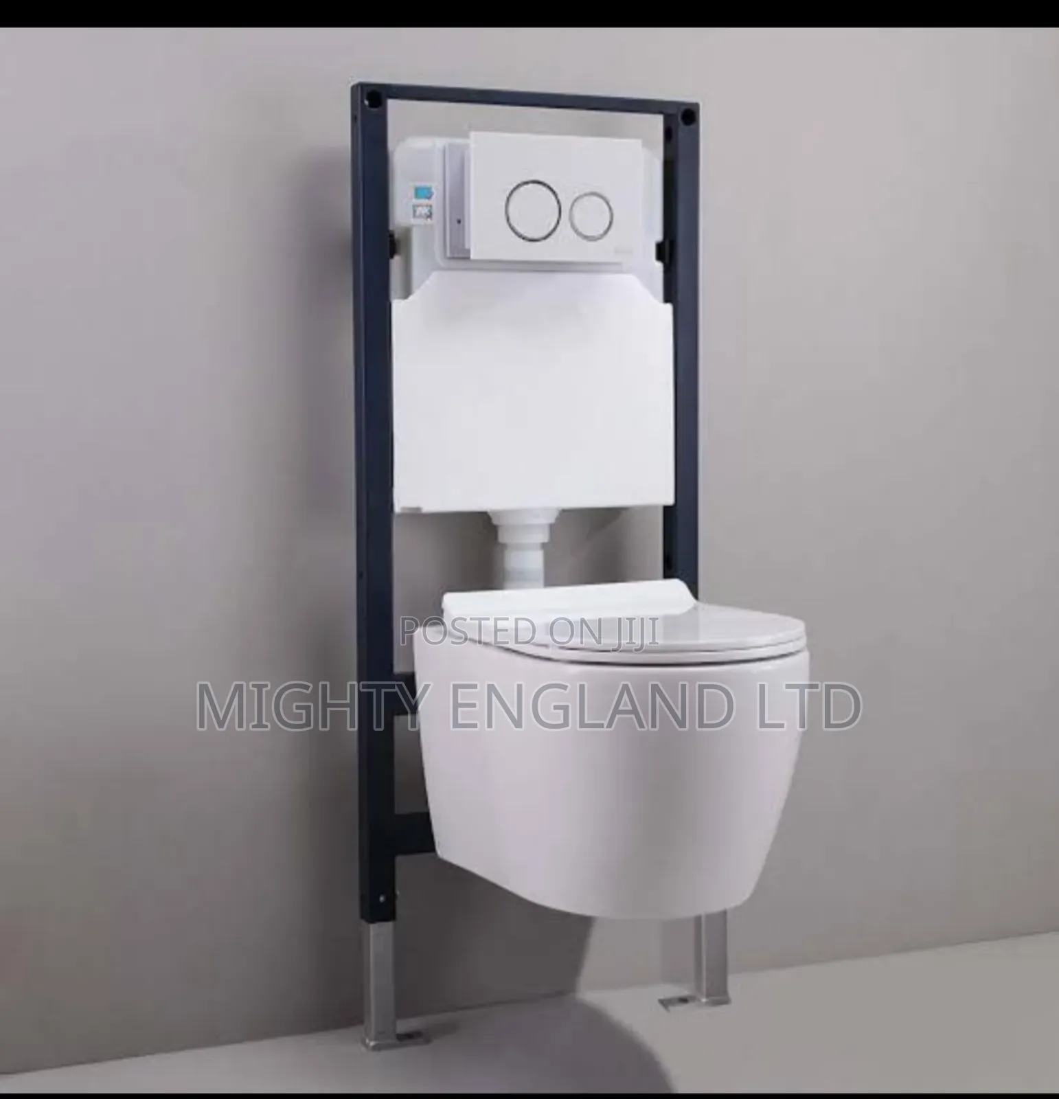 Wall-hung Toilet With Concealed Tank And Carrier System