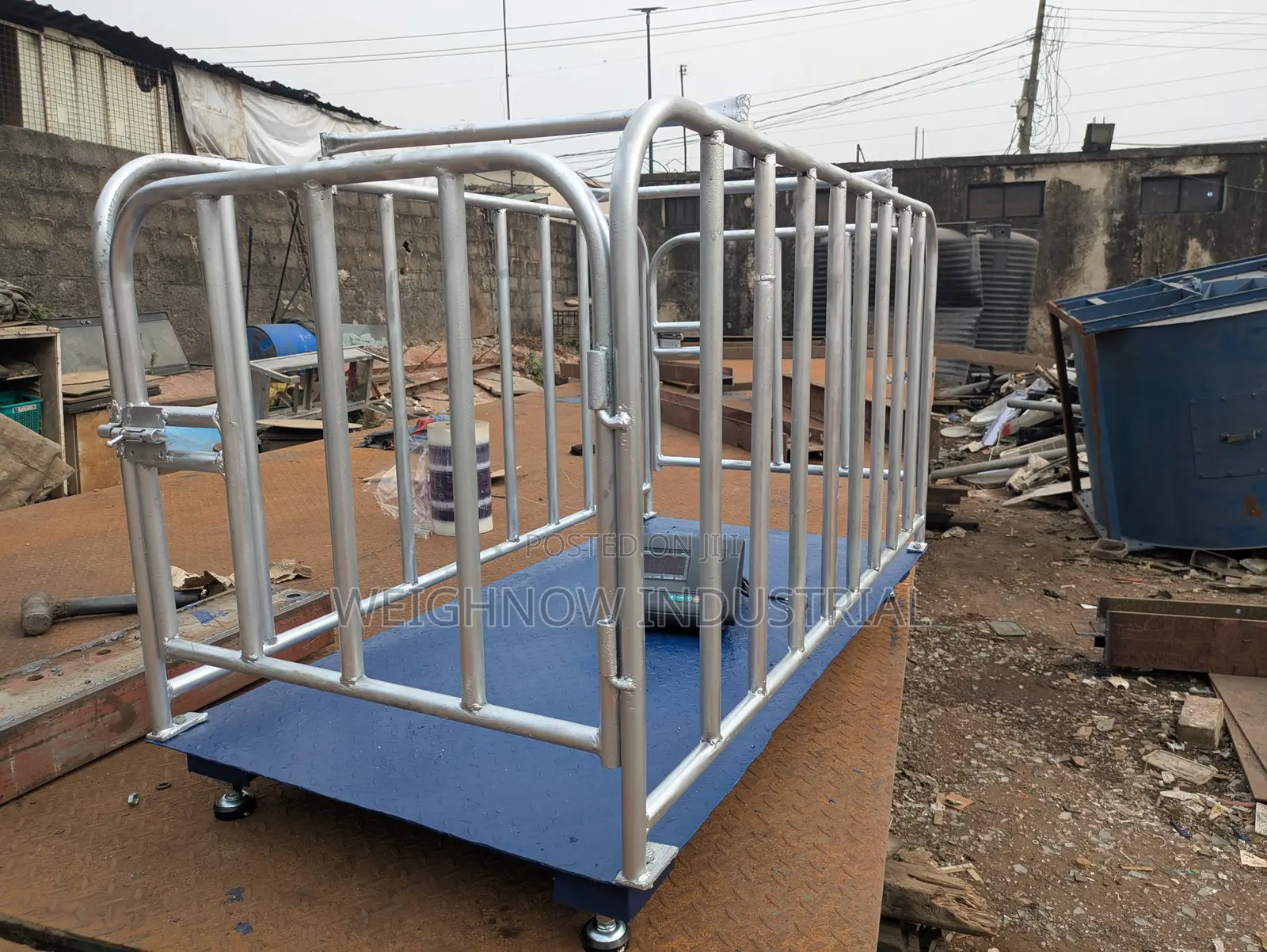 Weighnow Pig Scale {5ft X 2.5ft}