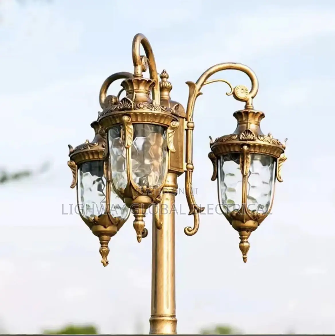 Bronze Cast/Aluminum Garden, Hall Way , Compound Light