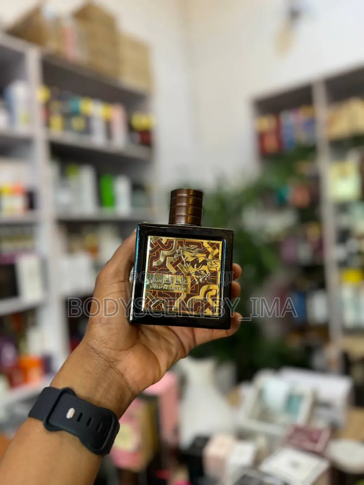 Qaed Al Fursan / Qaed Untamed Perfume