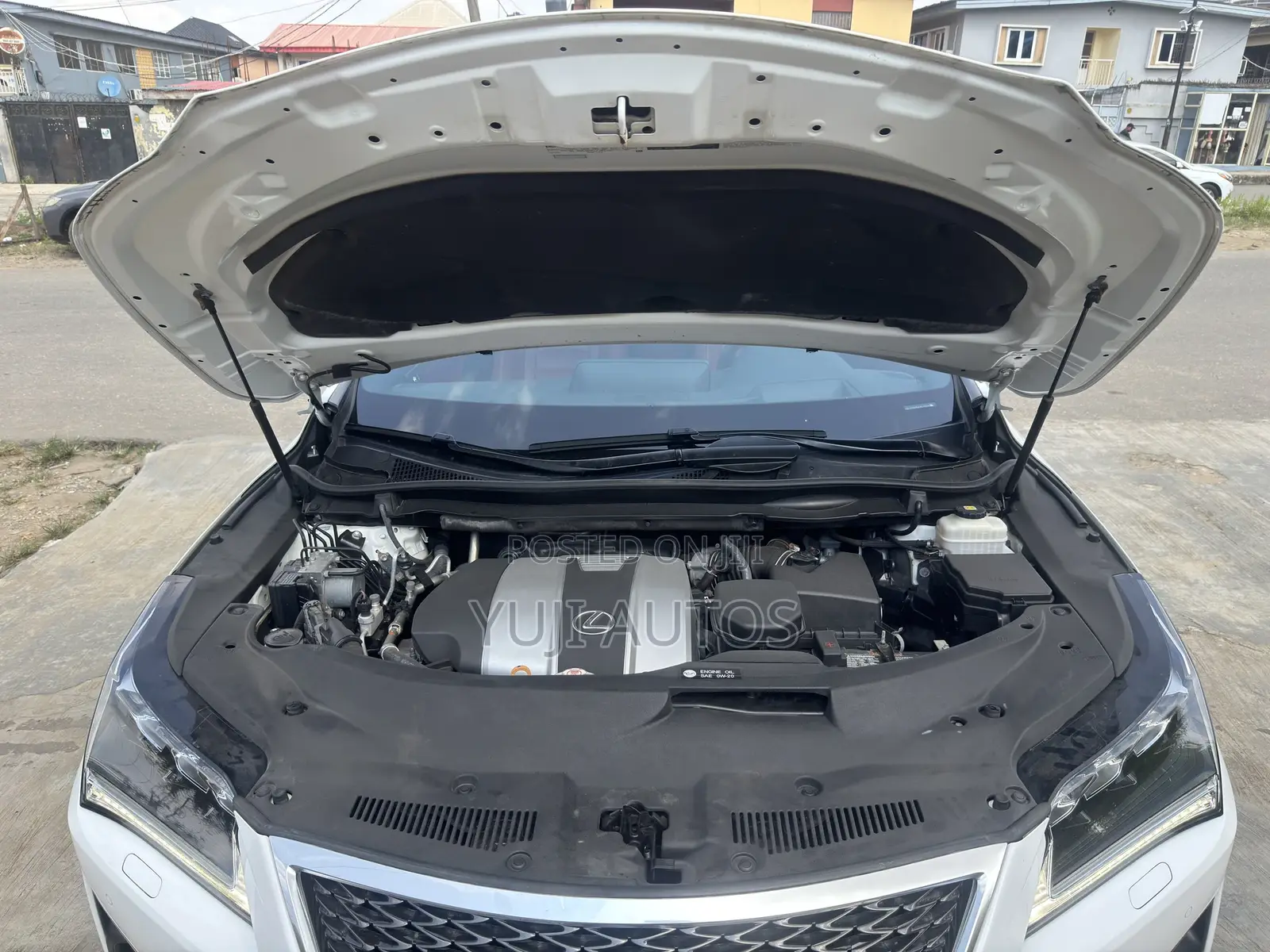Lexus RX 350 2019 White