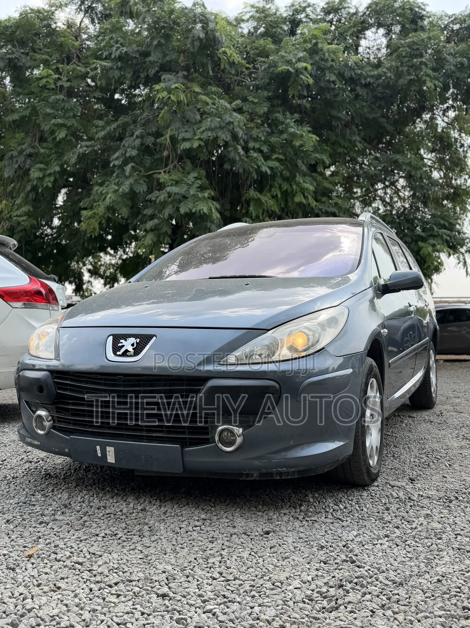 Peugeot 307 SW 2.0 2008 Gray