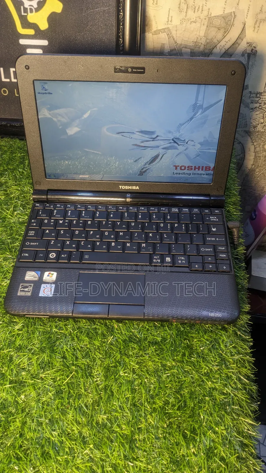 Laptop Toshiba NB200 2GB Intel Atom HDD 250GB