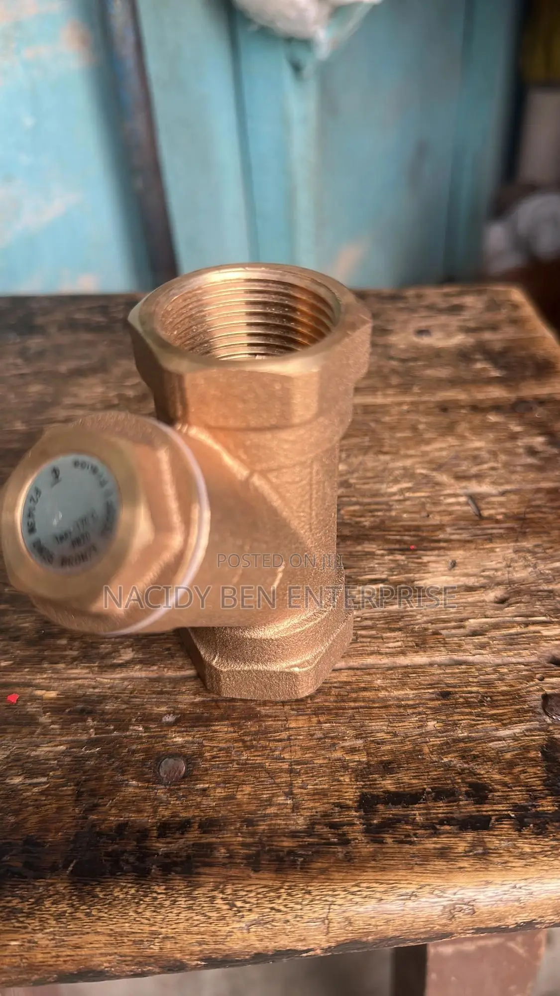 Germany Brass Y- Strainer Screen