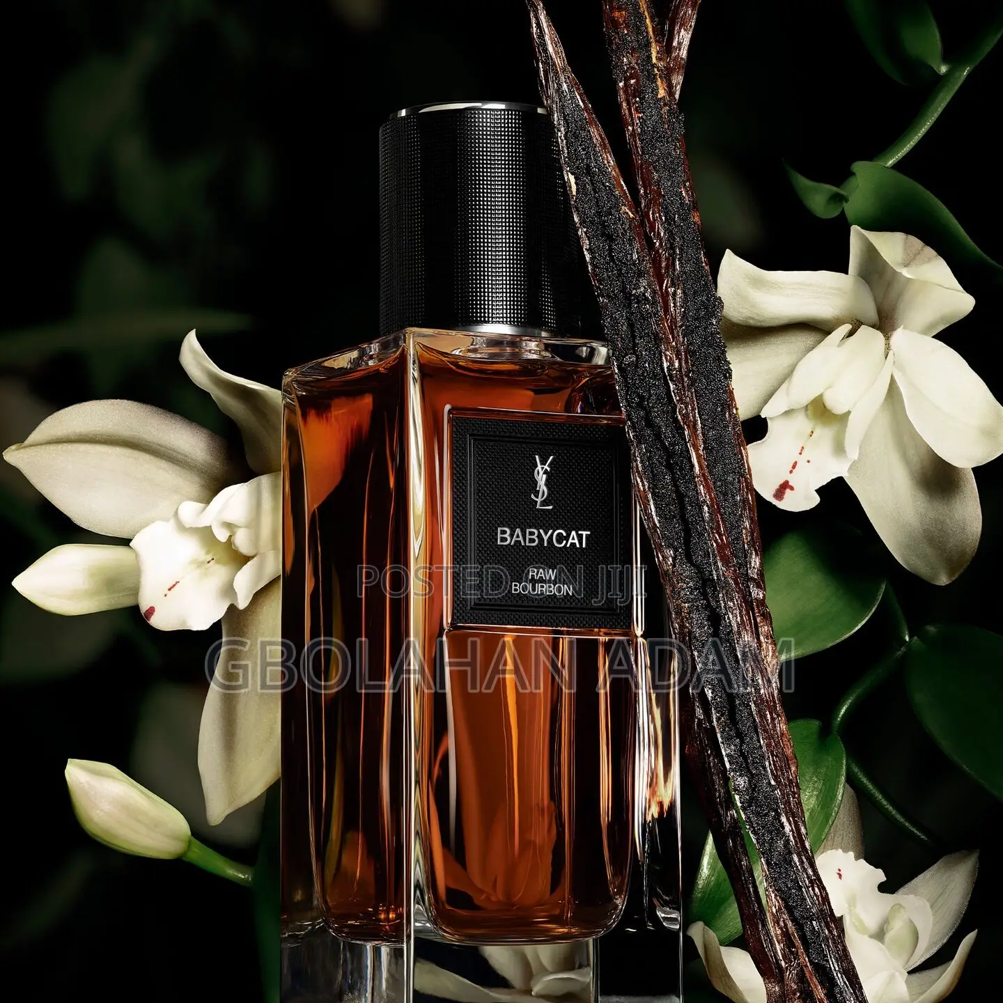 Babycat Raw Bourbon by Yves Saint Laurent